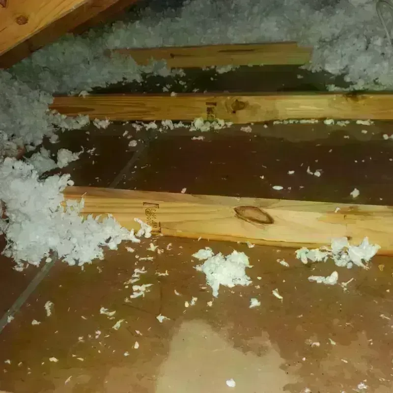 Attic Water Damage in Fremont, IN