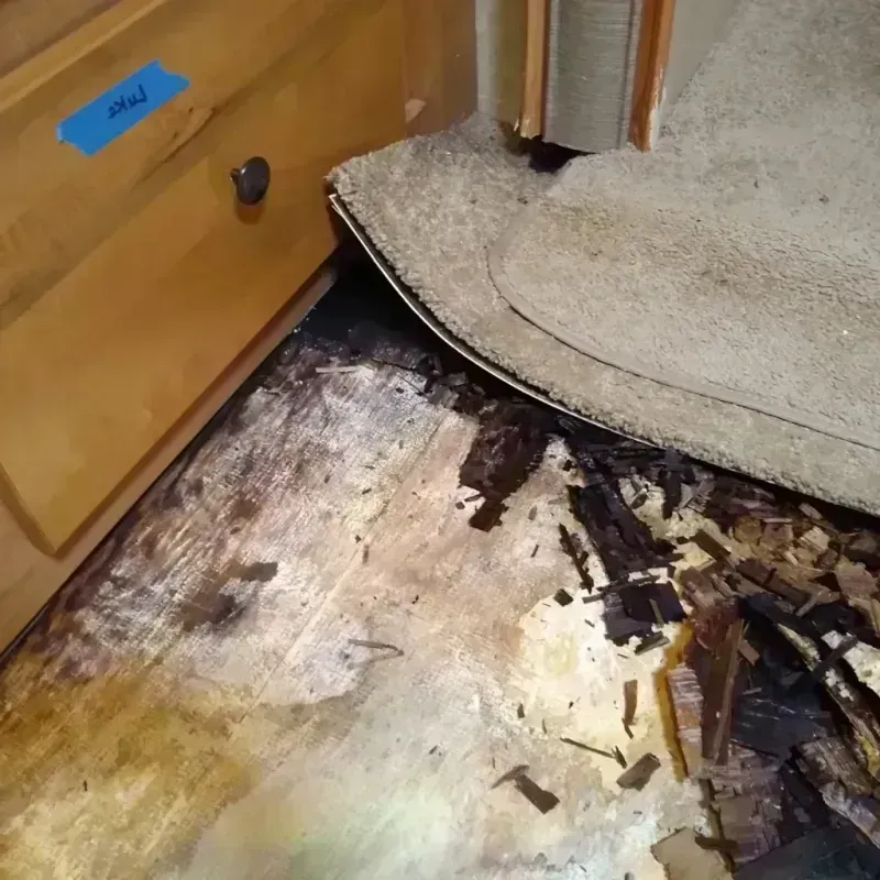 Wood Floor Water Damage in Fremont, IN